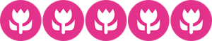 5 Tulpen Classificatie B&B Oud-Zilven